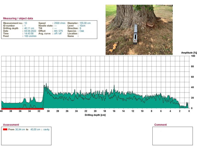 Graphical representation showing the results of a decay detection report from a resistograph machine