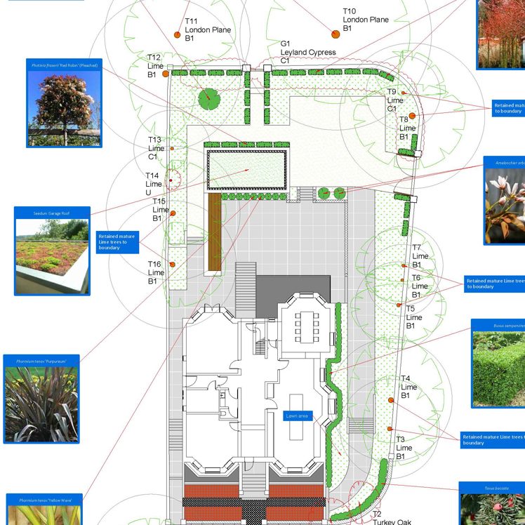 Image of a typical landscape plan showing what types of trees and plants will be placed within the grounds of a property