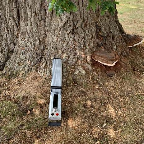 Resistograph machine resting against a tree for decay detection